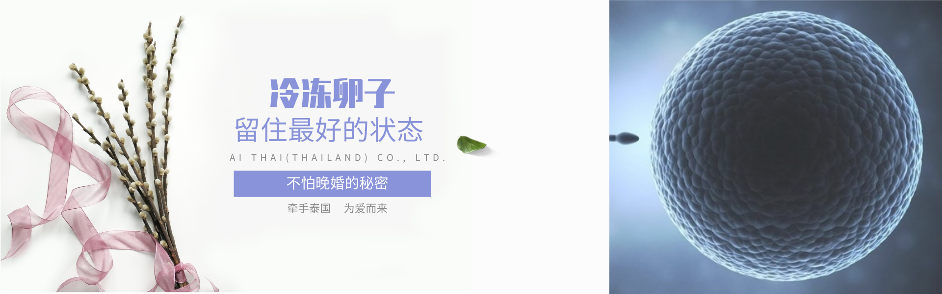 冷冻卵子